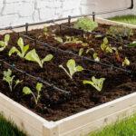 Kit de irigare prin picurare, pentru 35 plante, 30m, 80piese Domadi